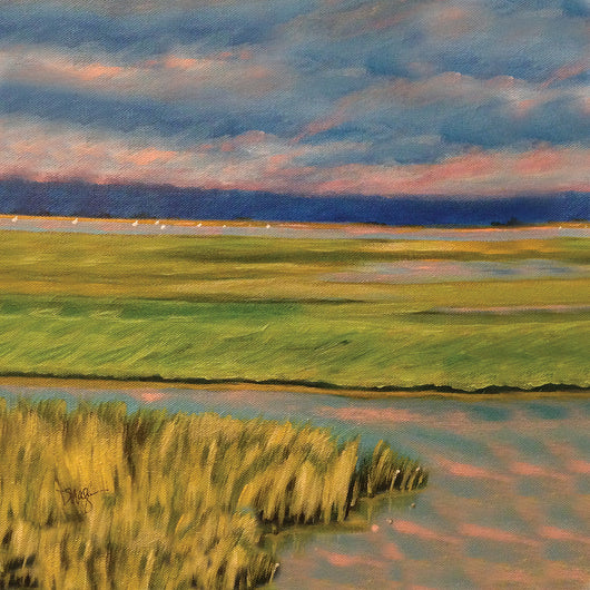 Tidal Marsh Sunsets